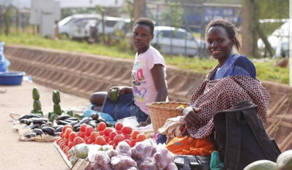 plavu_urban_policies_photo